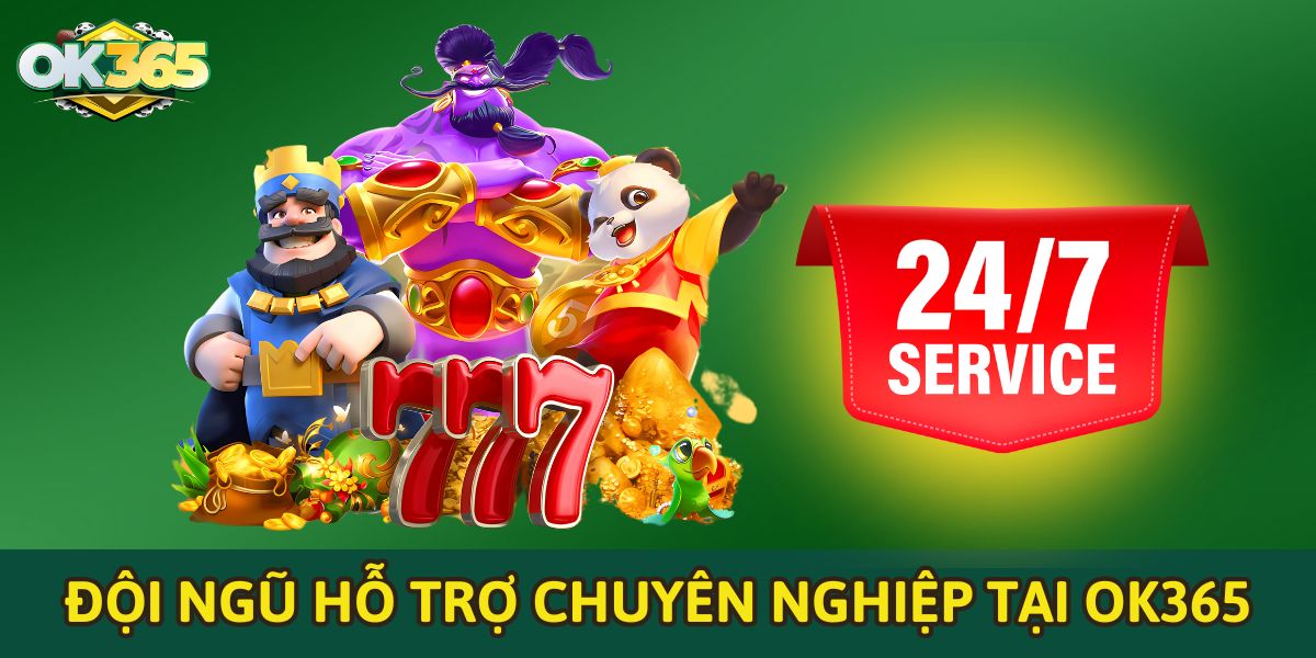 Đội ngũ hỗ trợ chuyên nghiệp tại OK365