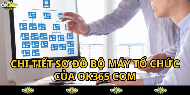 Sơ đồ bộ máy tổ chức của OK365 COM có cấu trúc chặt chẽ